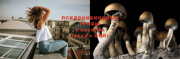 бошки Верхнеуральск
