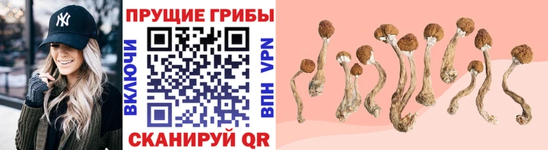 Галлюциногенные грибы Magic Shrooms  Томск 