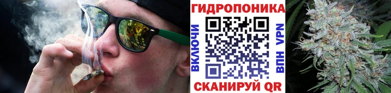 Каннабис сатива  кракен рабочий сайт  Томск 